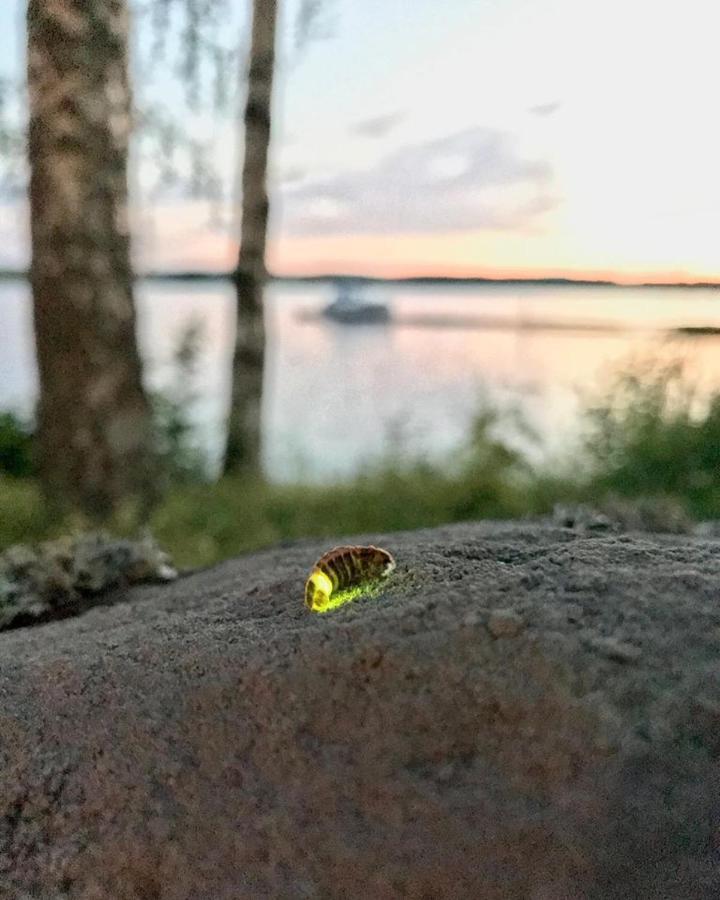 Koskenselkä Camping Villa Puumala Eksteriør bilde